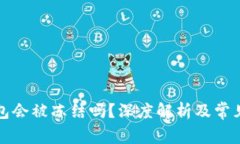 比特币钱包会被冻结吗？深度解析及常见问题解