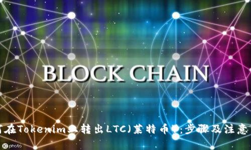 如何在Tokenim上转出LTC（莱特币）：步骤及注意事项