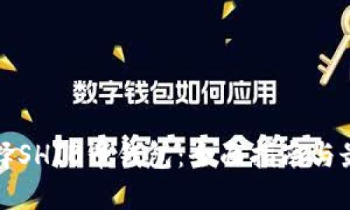 如何选择SHIB币钱包：全面指南与最佳实践