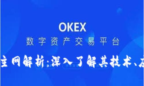 Tokenim BTM主网解析：深入了解其技术、应用及未来发展