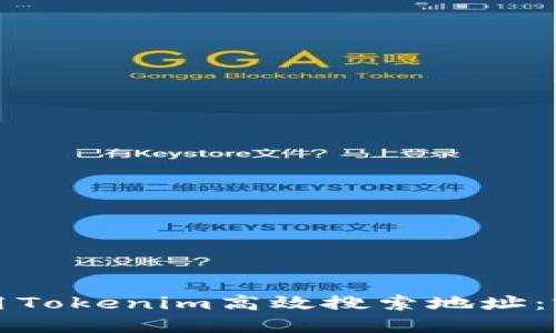 如何使用Tokenim高效搜索地址：完整指南