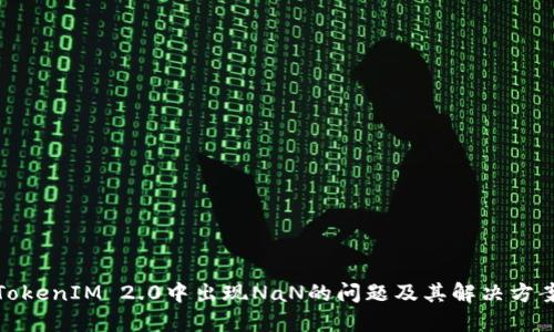 TokenIM 2.0中出现NaN的问题及其解决方案