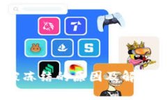USDT冷钱包被冻结的原因及解决方案全面解析