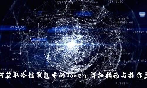 如何获取冷链钱包中的Token：详细指南与操作步骤