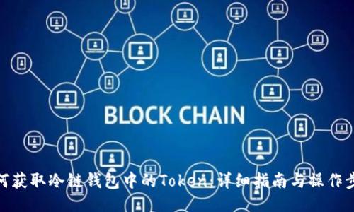 如何获取冷链钱包中的Token：详细指南与操作步骤