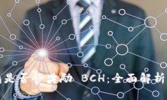 比特币钱包是否会奖励 BCH：全面解析与实用指南