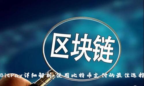 BitPay详细解析：使用比特币支付的最佳选择