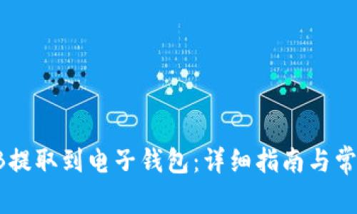 如何将SHIB提取到电子钱包：详细指南与常见问题解答