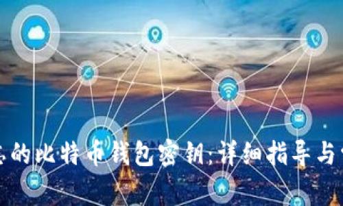 如何找回遗忘的比特币钱包密钥：详细指导与常见问题解答