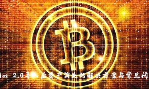 Tokenim 2.0导入后资产消失的解决方案与常见问题解析