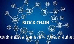 比特币钱包容量巨大原因解析：深入了解比特币