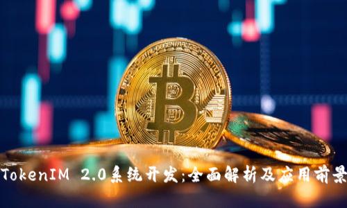 TokenIM 2.0系统开发：全面解析及应用前景
