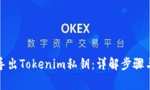 如何安全导出Tokenim私钥：详解步骤与注意事项