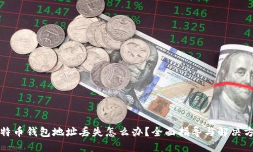 比特币钱包地址丢失怎么办？全面指导与解决方案