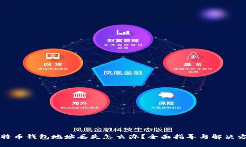 比特币钱包地址丢失怎么办？全面指导与解决方案