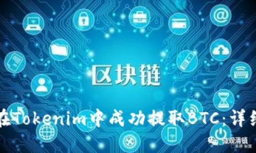 如何在Tokenim中成功提取BTC：详细指南