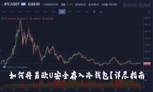 如何将易欧U安全存入冷钱包？详尽指南