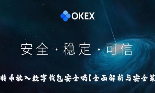 比特币放入数字钱包安全吗？全面解析与安全策略