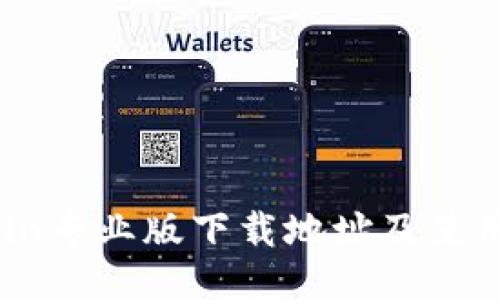 币Coin专业版下载地址及使用指南