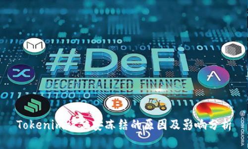Tokenim被公安冻结的原因及影响分析