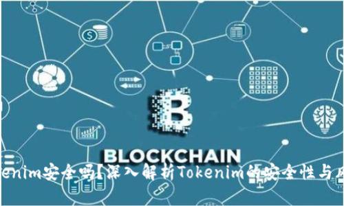 Tokenim安全吗？深入解析Tokenim的安全性与风险