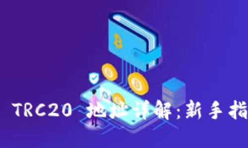 Tokenim 2.0 TRC20 地址详解：新手指南与最佳实践