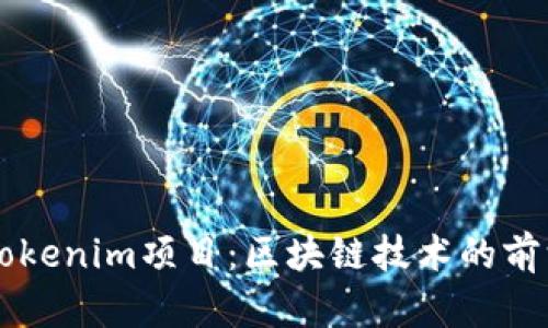  深入解析Tokenim项目：区块链技术的前沿探索与应用