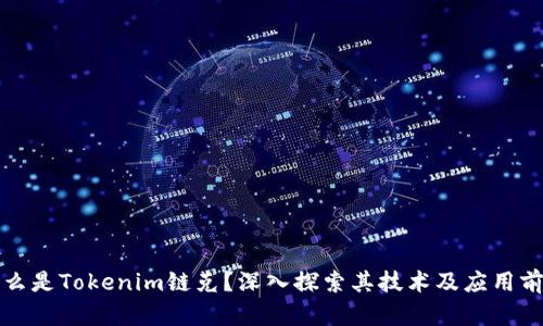 什么是Tokenim链克？深入探索其技术及应用前景