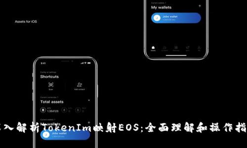 深入解析TokenIm映射EOS：全面理解和操作指南