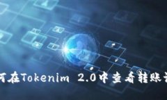如何在Tokenim 2.0中查看转账记录