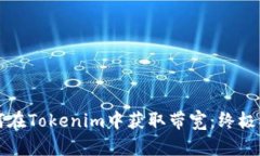 如何在Tokenim中获取带宽：终极指南
