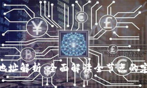 Tokenim地址解析：全面解读全节点的定义与作用
