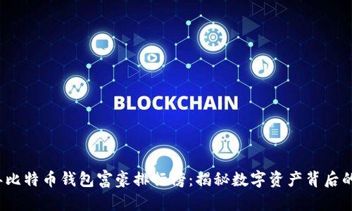 2023年比特币钱包富豪排行榜：揭秘数字资产背后的投资者