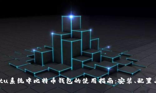 Ubuntu系统中比特币钱包的使用指南：安装、配置与备份
