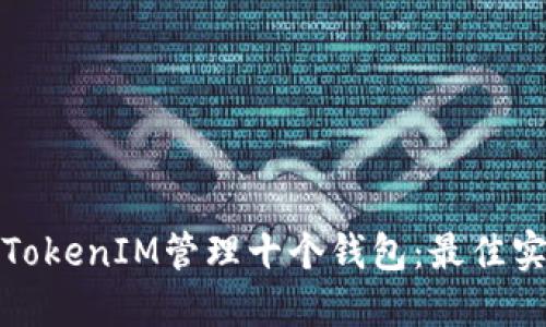 如何使用TokenIM管理十个钱包：最佳实践与技巧