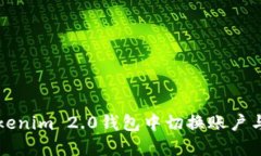 如何在Tokenim 2.0钱包中切换账户与网络设置