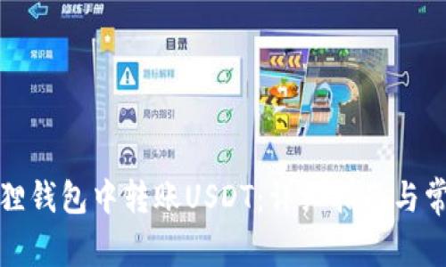 如何在小狐狸钱包中转账USDT：详细指南与常见问题解答