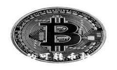 Tokenim支持的可转币种及其转换指南