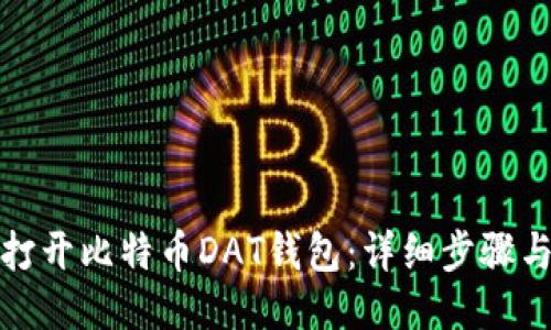 如何打开比特币DAT钱包：详细步骤与技巧