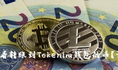 :如何查看转账到Tokenim钱包的币？详尽指南