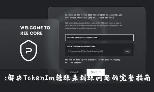 :解决TokenIm转账未到账问题的完整指南