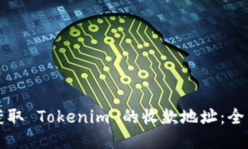 如何获取 Tokenim 的收款地址：全面指南