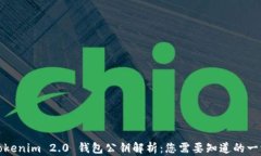 Tokenim 2.0 钱包公钥解析：您需要知道的一切