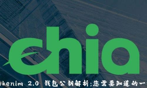 
Tokenim 2.0 钱包公钥解析：您需要知道的一切