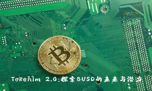 Tokenim 2.0：探索BUSD的未来与潜力