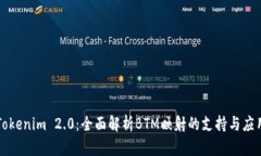 Tokenim 2.0：全面解析BTM映射