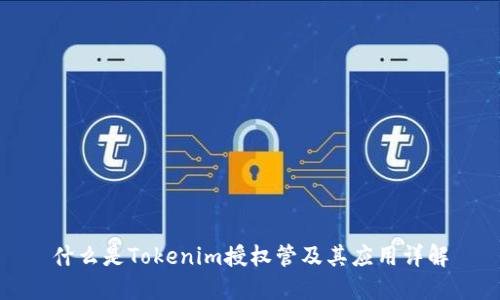 什么是Tokenim授权管及其应用详解