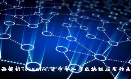 全面解析Tokenim：货币导入与区块链应用的未来