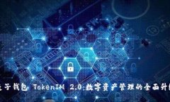 麦子钱包 TokenIM 2.0：数字