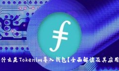 什么是Tokenim导入钱包？全